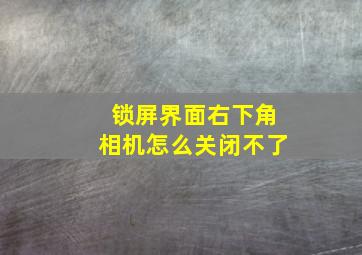 锁屏界面右下角相机怎么关闭不了