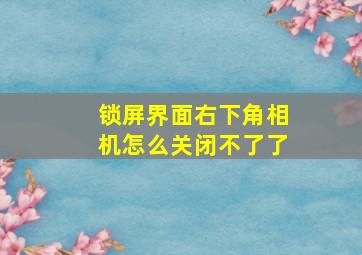 锁屏界面右下角相机怎么关闭不了了