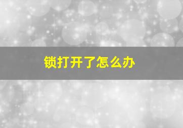 锁打开了怎么办