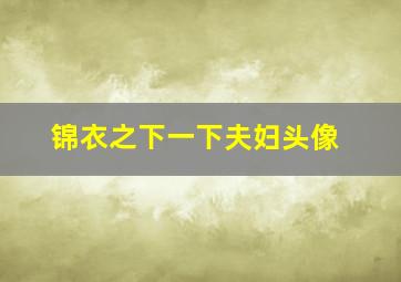 锦衣之下一下夫妇头像