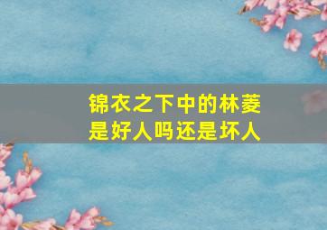 锦衣之下中的林菱是好人吗还是坏人