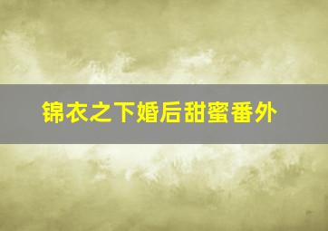 锦衣之下婚后甜蜜番外