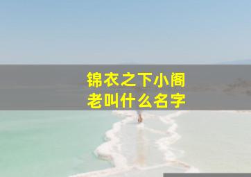 锦衣之下小阁老叫什么名字