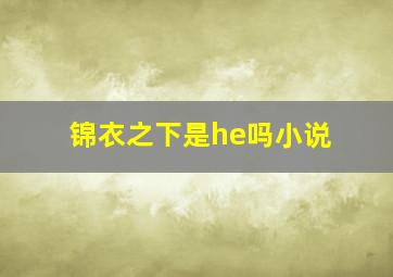 锦衣之下是he吗小说