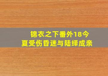 锦衣之下番外18今夏受伤昏迷与陆绎成亲