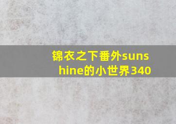 锦衣之下番外sunshine的小世界340