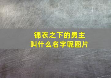 锦衣之下的男主叫什么名字呢图片