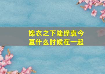 锦衣之下陆绎袁今夏什么时候在一起