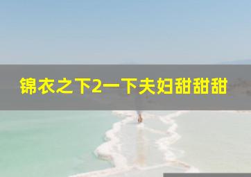 锦衣之下2一下夫妇甜甜甜