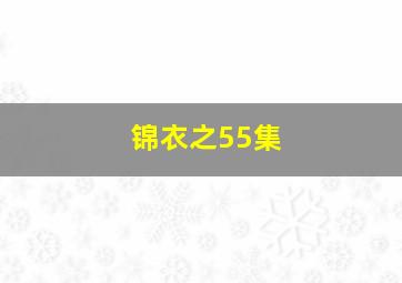 锦衣之55集