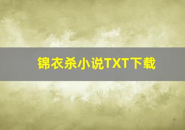 锦衣杀小说TXT下载