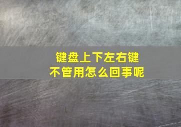 键盘上下左右键不管用怎么回事呢