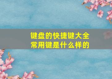 键盘的快捷键大全常用键是什么样的