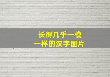 长得几乎一模一样的汉字图片