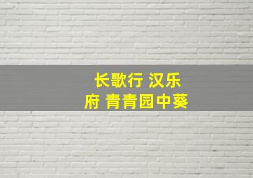 长歌行 汉乐府 青青园中葵