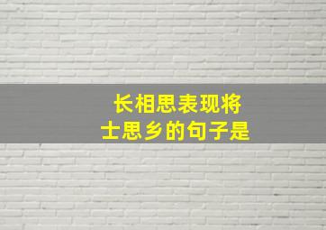 长相思表现将士思乡的句子是