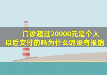 门诊超过20000元是个人以后支付的吗为什么呢没有报销