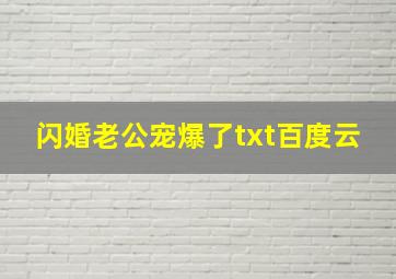 闪婚老公宠爆了txt百度云