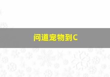 问道宠物到C