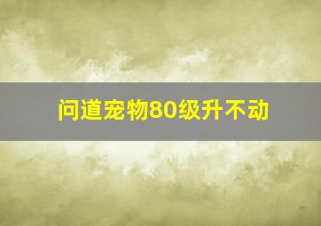 问道宠物80级升不动