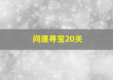 问道寻宝20关