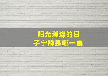 阳光璀璨的日子宁静是哪一集