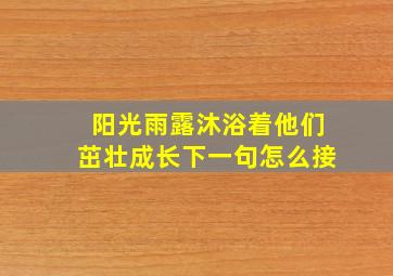 阳光雨露沐浴着他们茁壮成长下一句怎么接