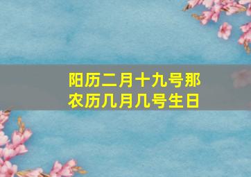 阳历二月十九号那农历几月几号生日