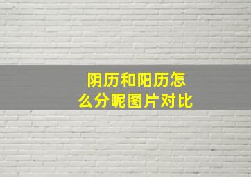 阴历和阳历怎么分呢图片对比