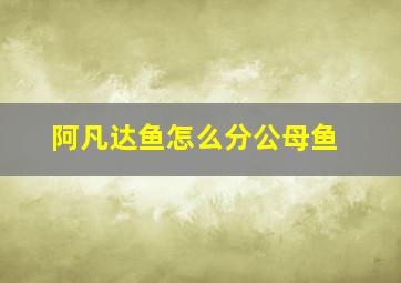 阿凡达鱼怎么分公母鱼