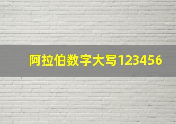 阿拉伯数字大写123456