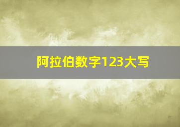 阿拉伯数字123大写