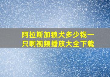 阿拉斯加狼犬多少钱一只啊视频播放大全下载