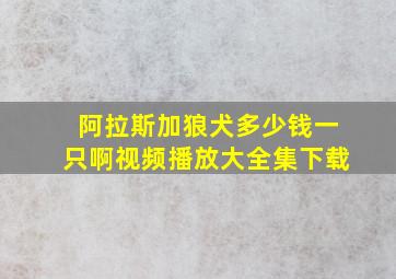 阿拉斯加狼犬多少钱一只啊视频播放大全集下载