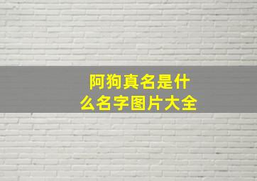 阿狗真名是什么名字图片大全