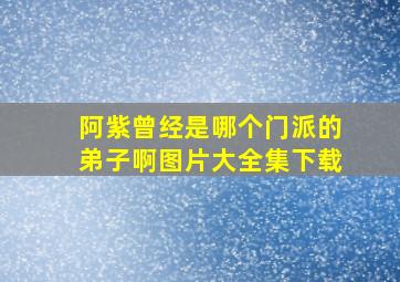 阿紫曾经是哪个门派的弟子啊图片大全集下载