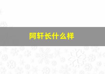 阿轩长什么样