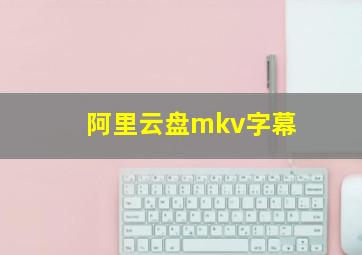 阿里云盘mkv字幕