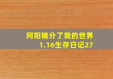 阿阳精分了我的世界1.16生存日记27