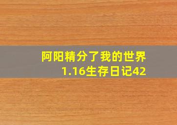 阿阳精分了我的世界1.16生存日记42