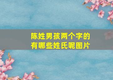 陈姓男孩两个字的有哪些姓氏呢图片