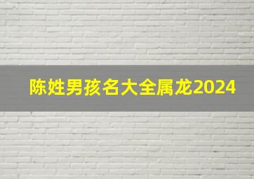 陈姓男孩名大全属龙2024