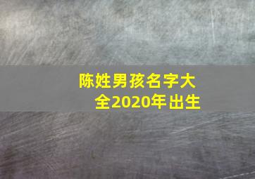 陈姓男孩名字大全2020年出生