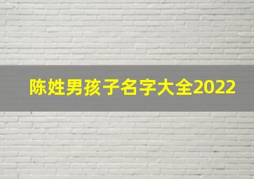 陈姓男孩子名字大全2022