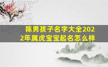 陈男孩子名字大全2022年属虎宝宝起名怎么样