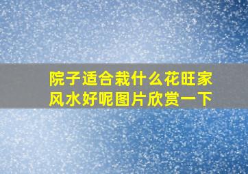 院子适合栽什么花旺家风水好呢图片欣赏一下