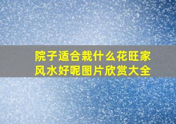 院子适合栽什么花旺家风水好呢图片欣赏大全