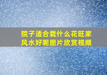 院子适合栽什么花旺家风水好呢图片欣赏视频