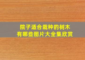 院子适合栽种的树木有哪些图片大全集欣赏