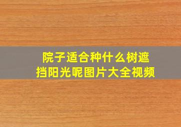 院子适合种什么树遮挡阳光呢图片大全视频